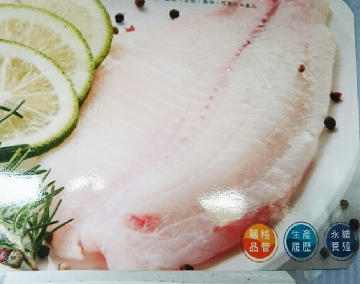 鯛魚